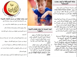 The Al-Grayaat Advice Centre issues a second guide for advice and health education.